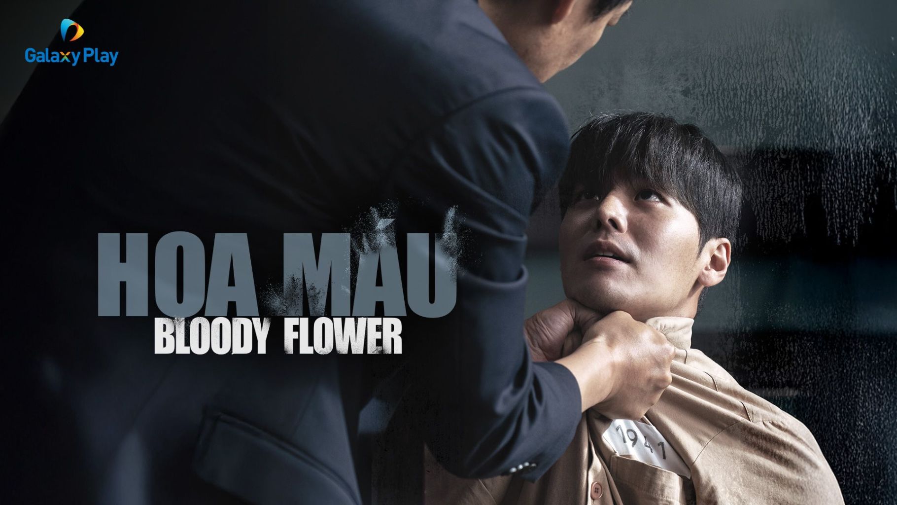 Review Hoa Máu: Luật sư bảo vệ sát nhân hàng loạt – lựa chọn gây tranh cãi