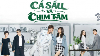 Cá Sấu Và Chim Tăm