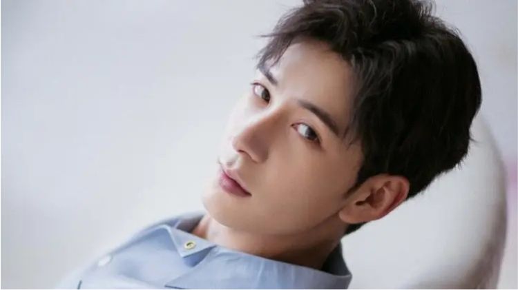 Top 15 bộ phim hay nhất của Trần Tinh Húc - “Tổng tài” điển trai của điện ảnh Hoa ngữ