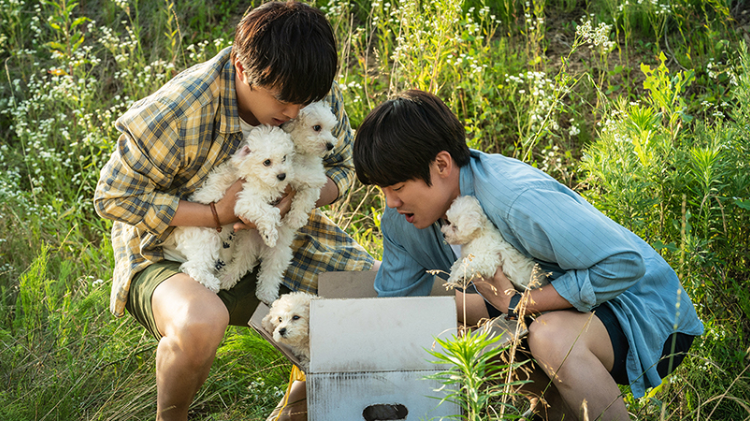 Cười thả ga với loạt phim Hàn Quốc hài hước đình đám